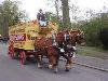 The Suffolk Punch