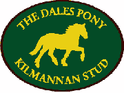 Kilmannan Stud