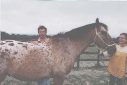 The Horse's Back and the Bladder Meridian