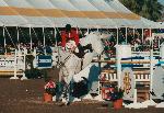 Horse Shows in the Sun