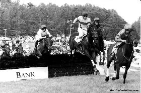 Brookhill Steeplechase