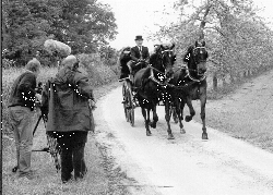 The British Morgan Horse Society