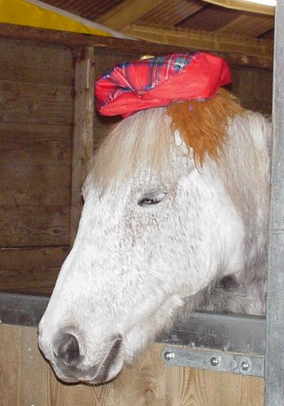 The Eriskay